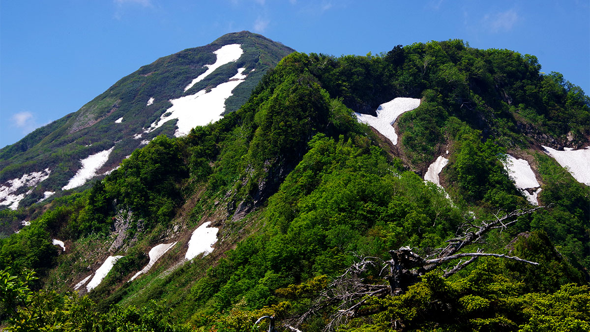 大曲りから眺めた雨飾山