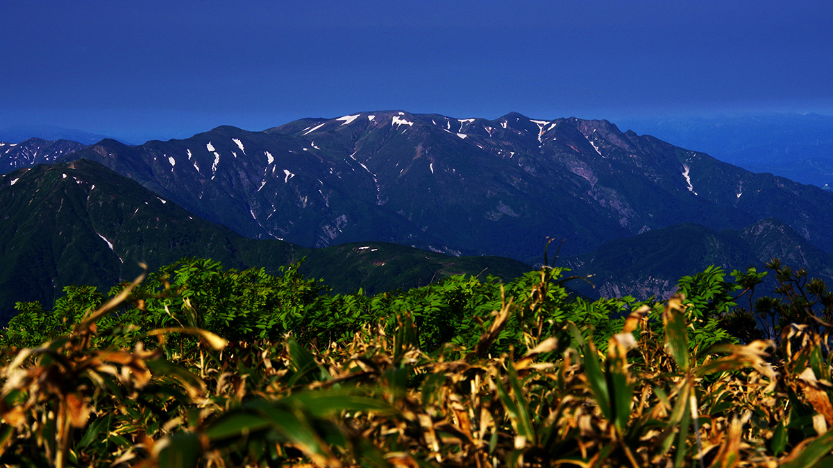 兎岳から眺めた巻機山