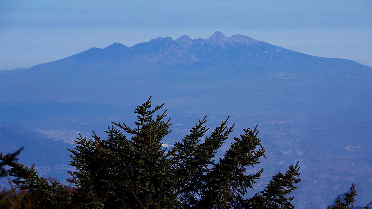 地蔵峠・麓分岐付近から眺めた八ヶ岳