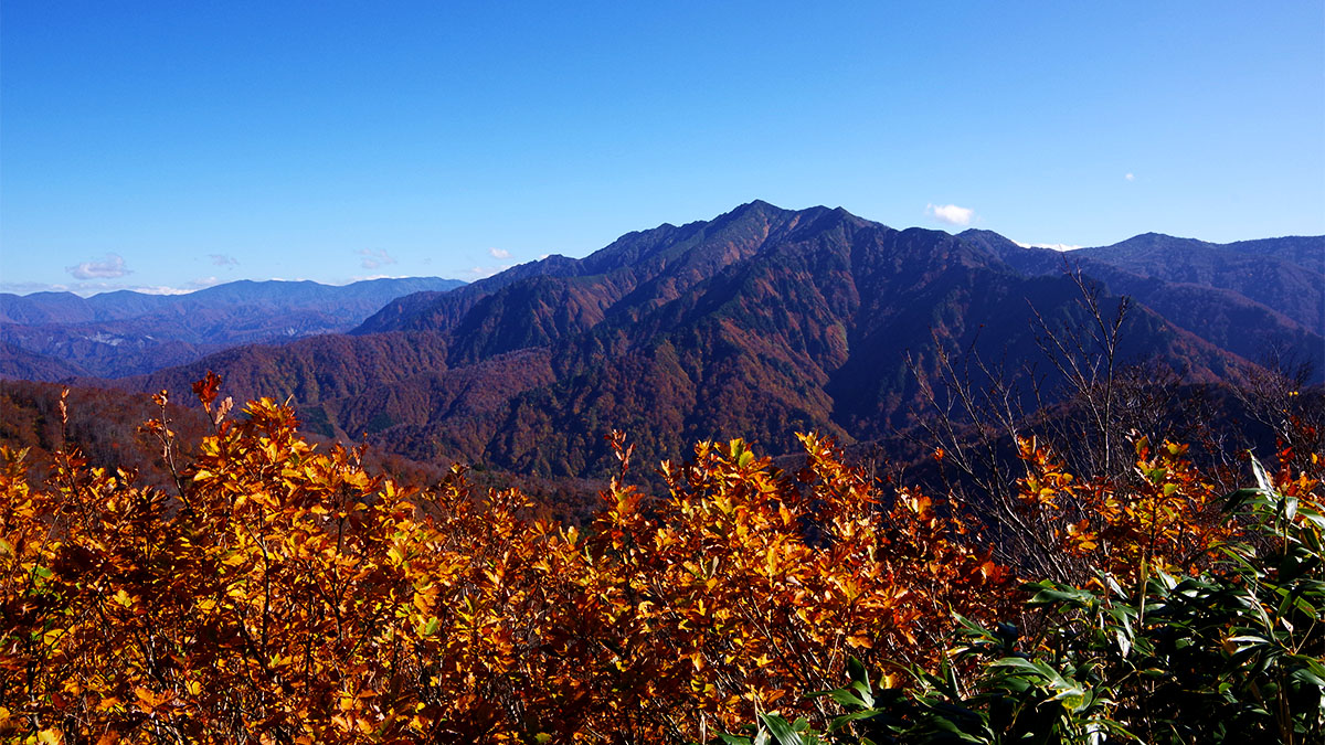 百草ノ池付近から眺めた荒沢岳