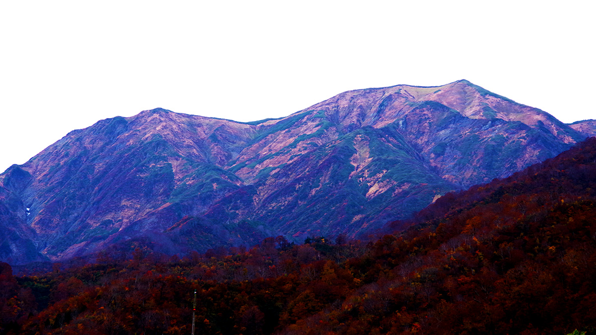 銀山平から眺めた越後駒ヶ岳