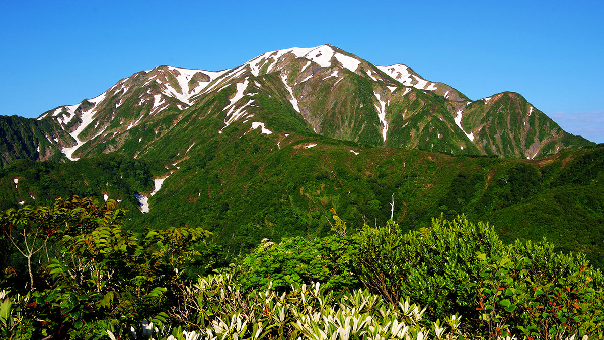 明神峠付近から眺めた越後駒ヶ岳