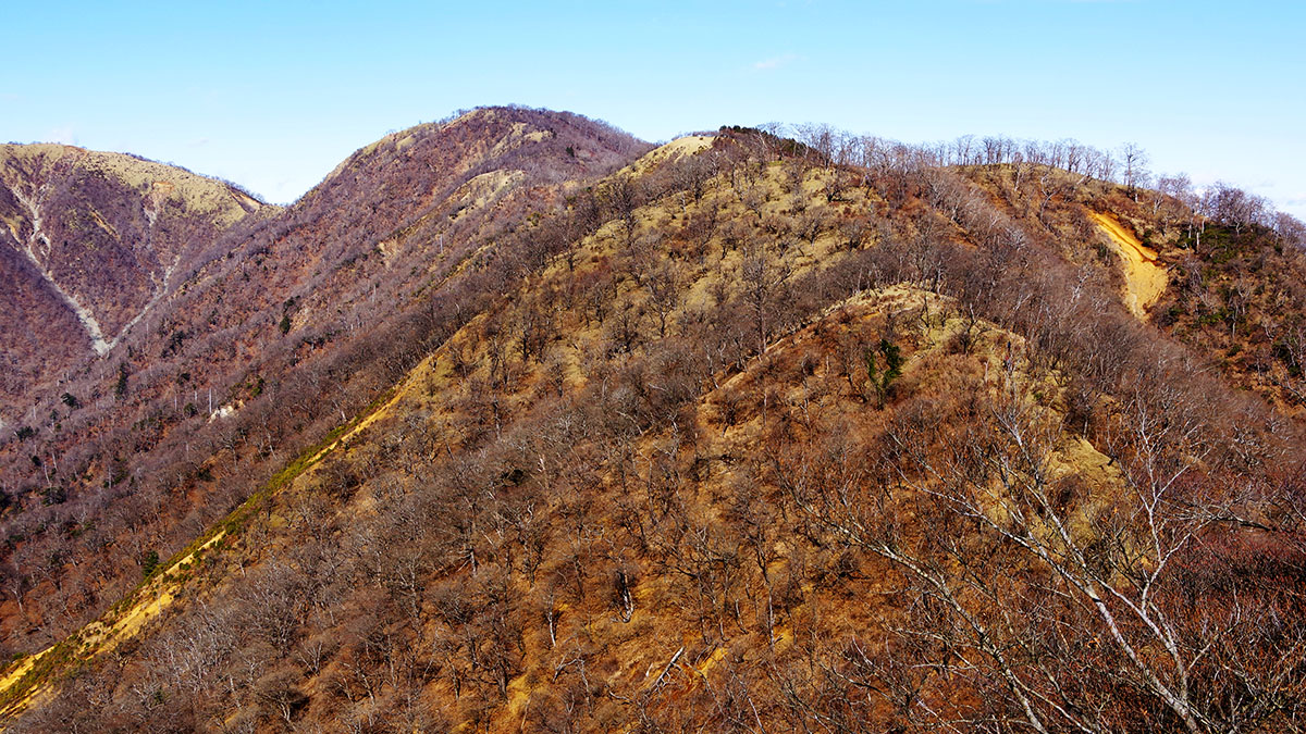 日高から眺めた丹沢山