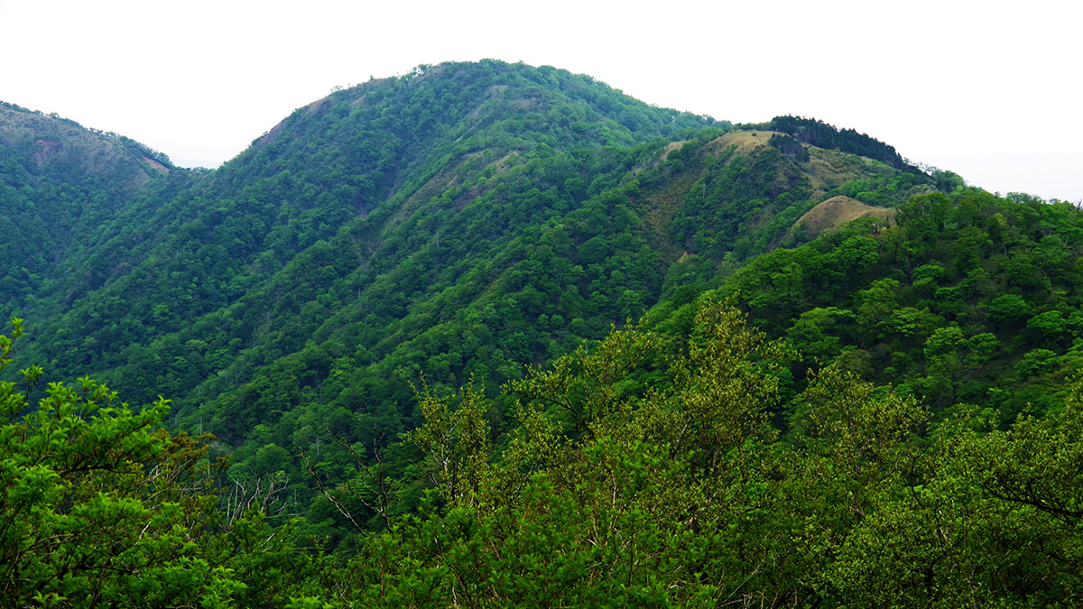 塔ノ岳から眺めた丹沢山