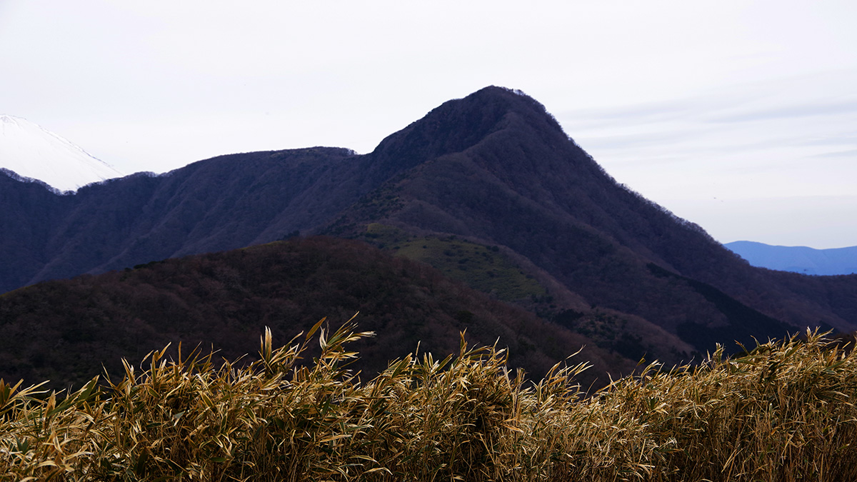 明神ヶ岳から眺めた金時山