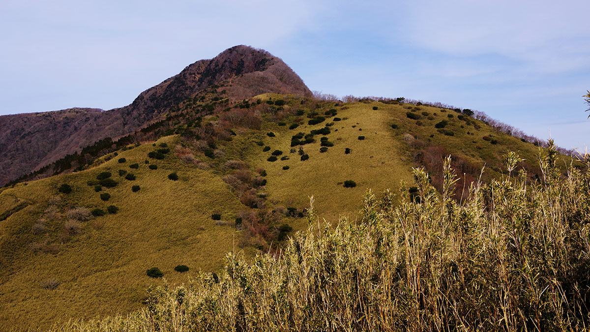 矢倉沢峠から眺めた金時山