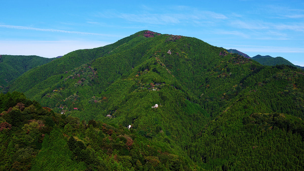 峠の茶屋付近から眺めた御前山
