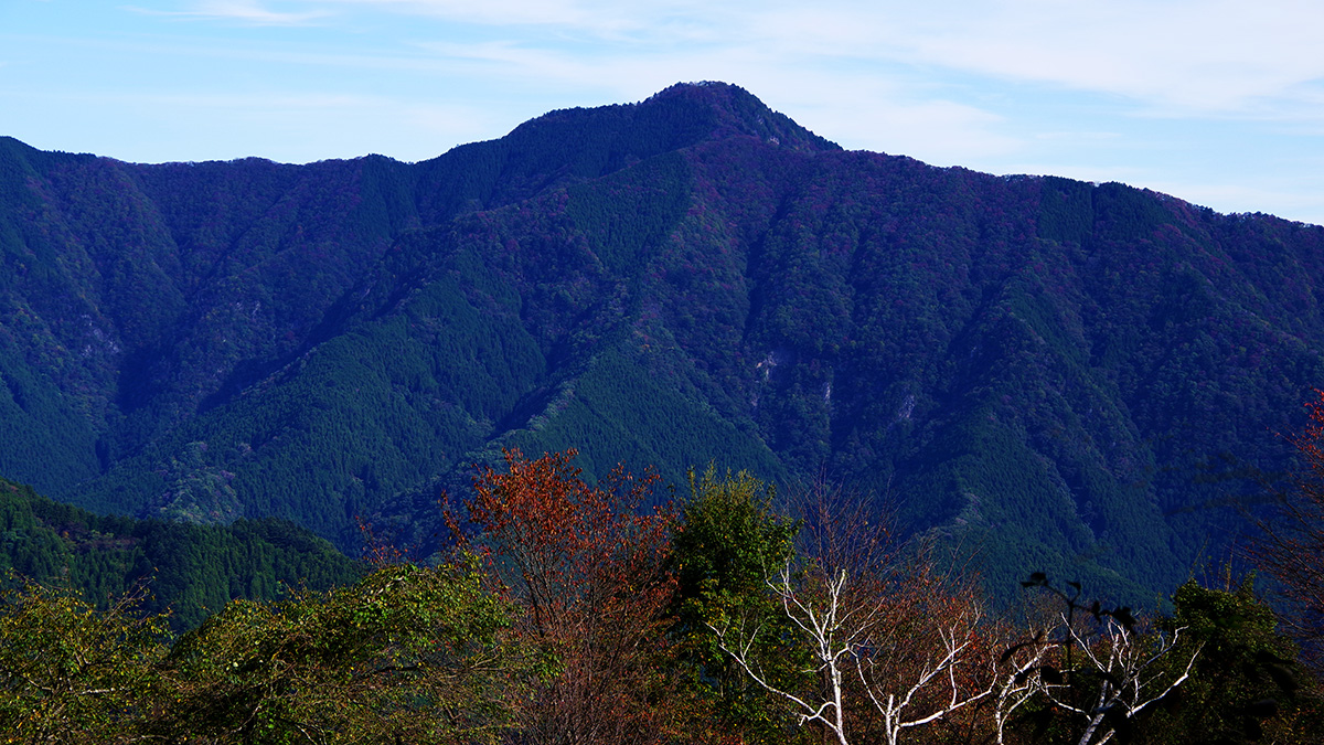 浅間嶺から眺めた大岳山