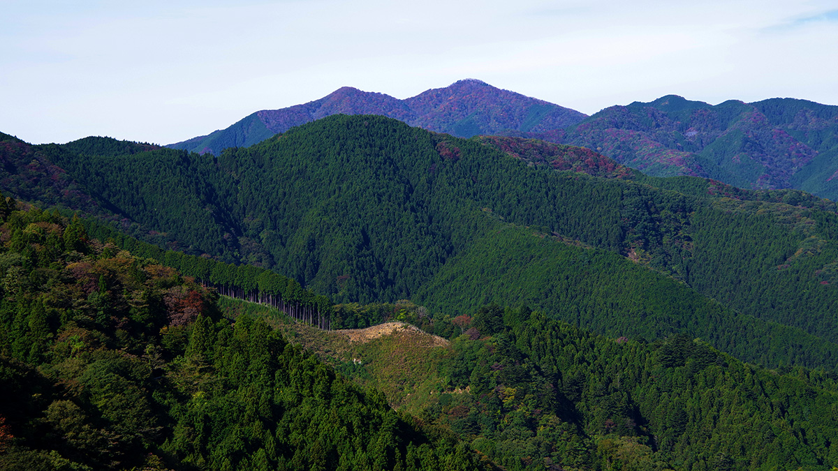 浅間嶺から眺めた三頭山