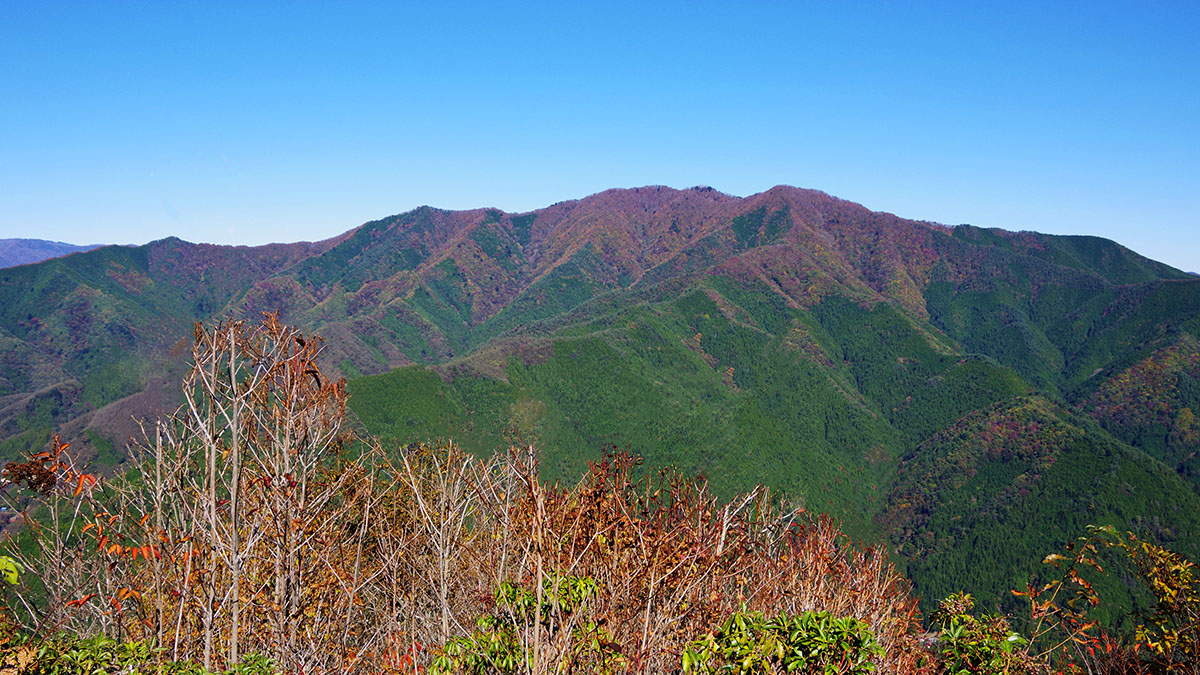 坪山から眺めた三頭山