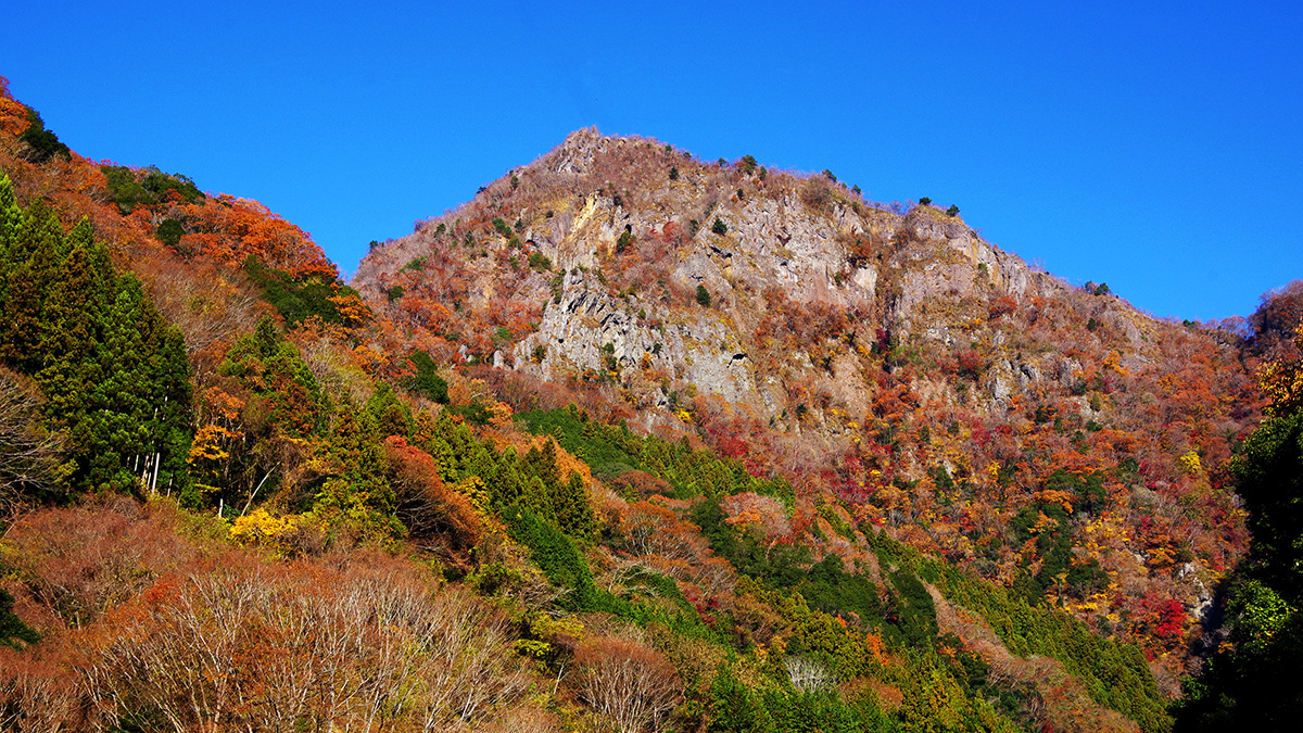 大円地から眺めた奥久慈男体山