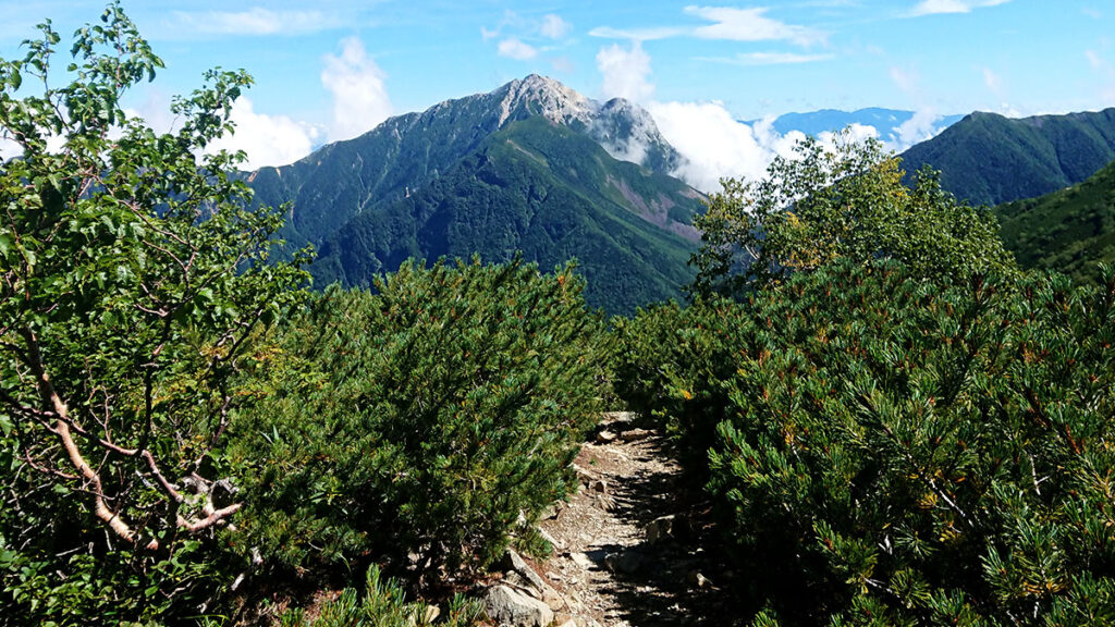 仙丈ヶ岳から眺めた甲斐駒ヶ岳