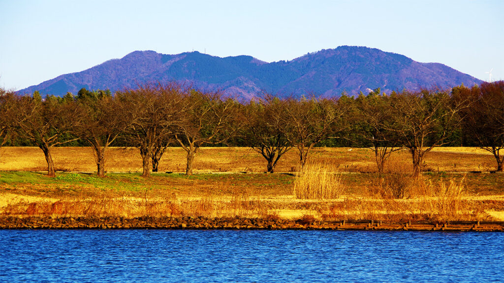 母子島遊水地から眺めた加波山
