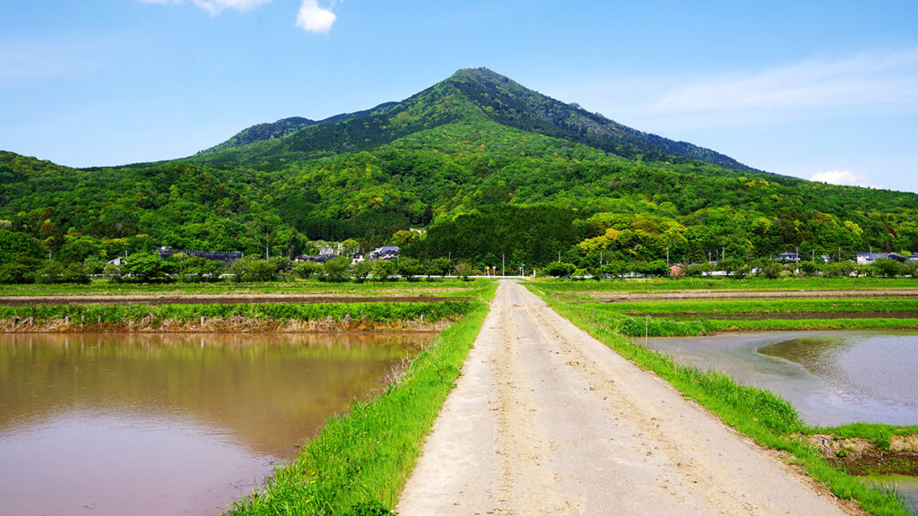 熊野神社付近から眺めた筑波山