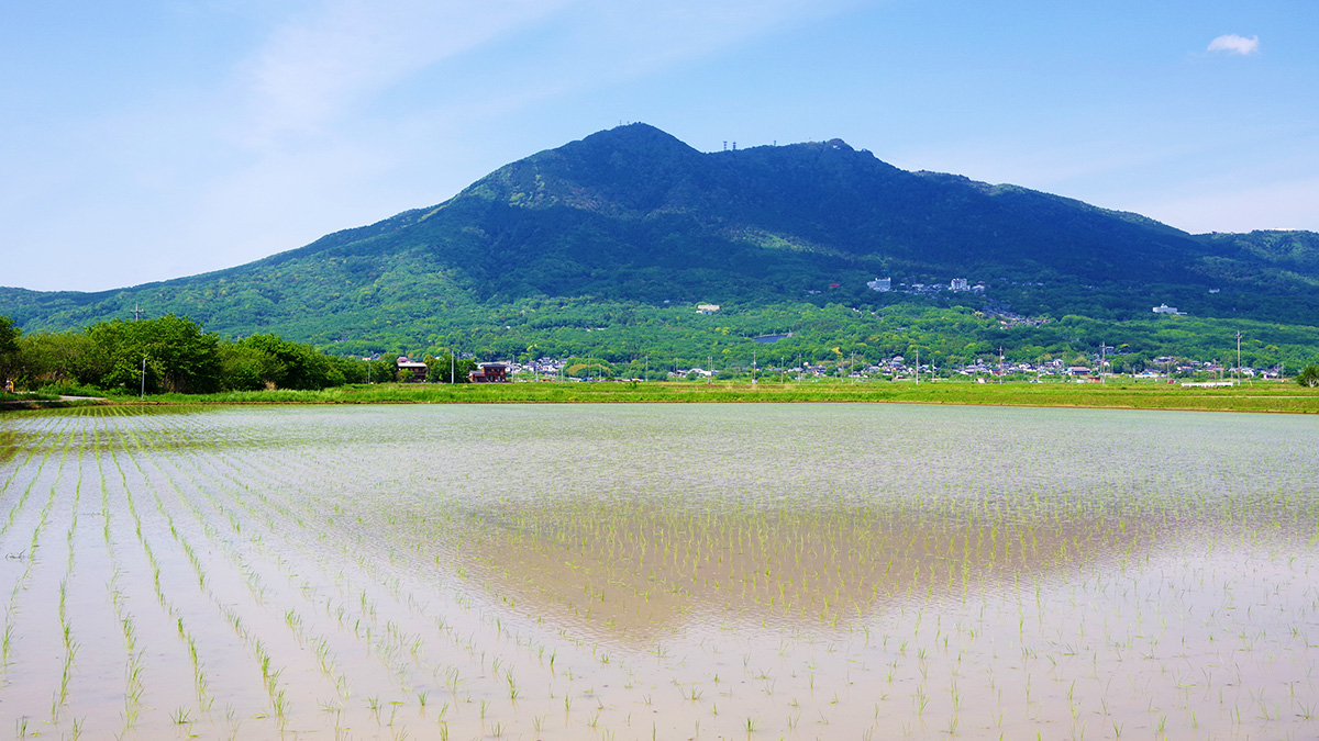 筑波霞ヶ浦りんりんロード筑波山ビューポイント付近から眺めた筑波山