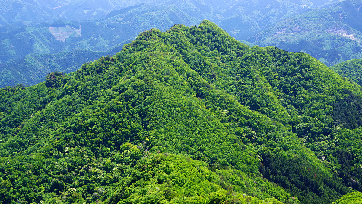 鹿岳から眺めた四ツ又山