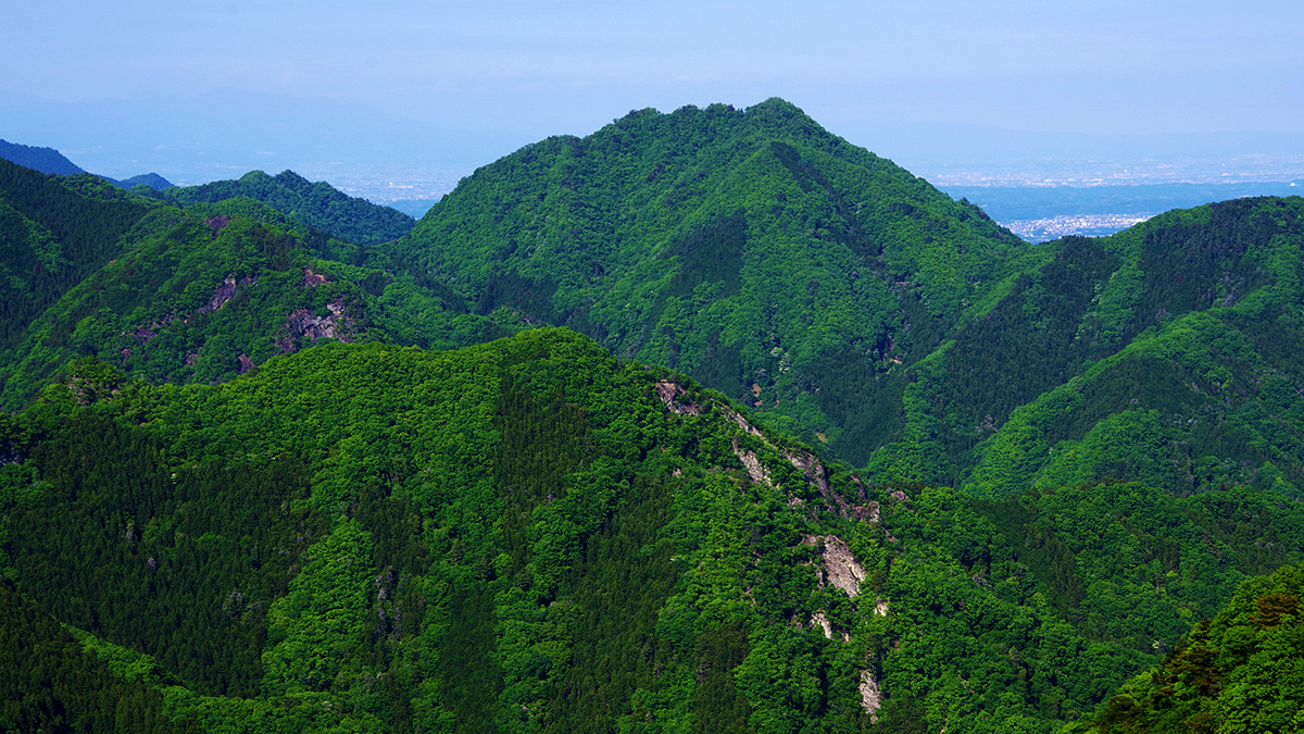 黒瀧山馬の背付近から眺めた四ツ又山