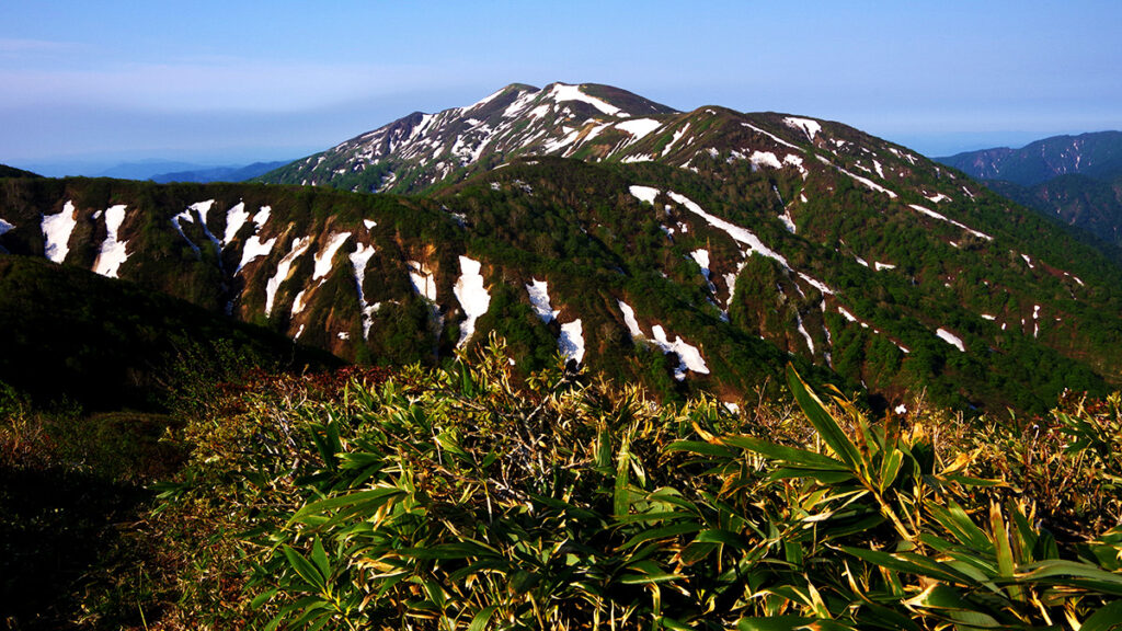 1260mピークから眺めた和賀岳