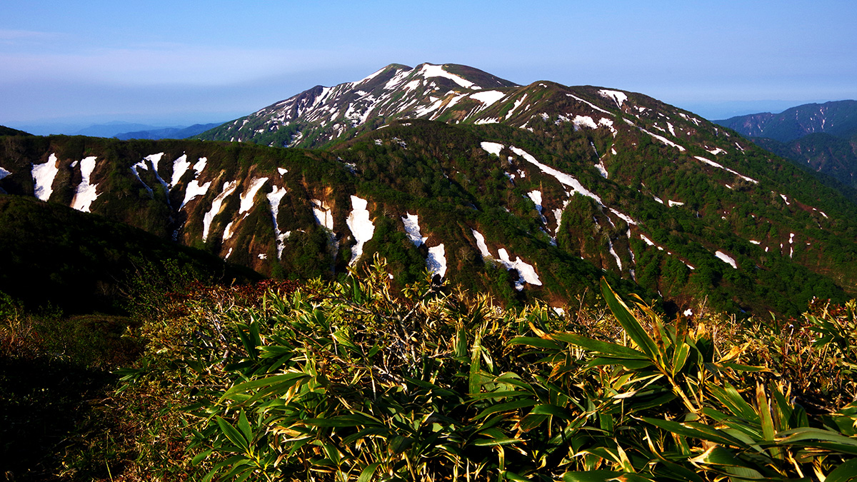 1260mピークから眺めた和賀岳