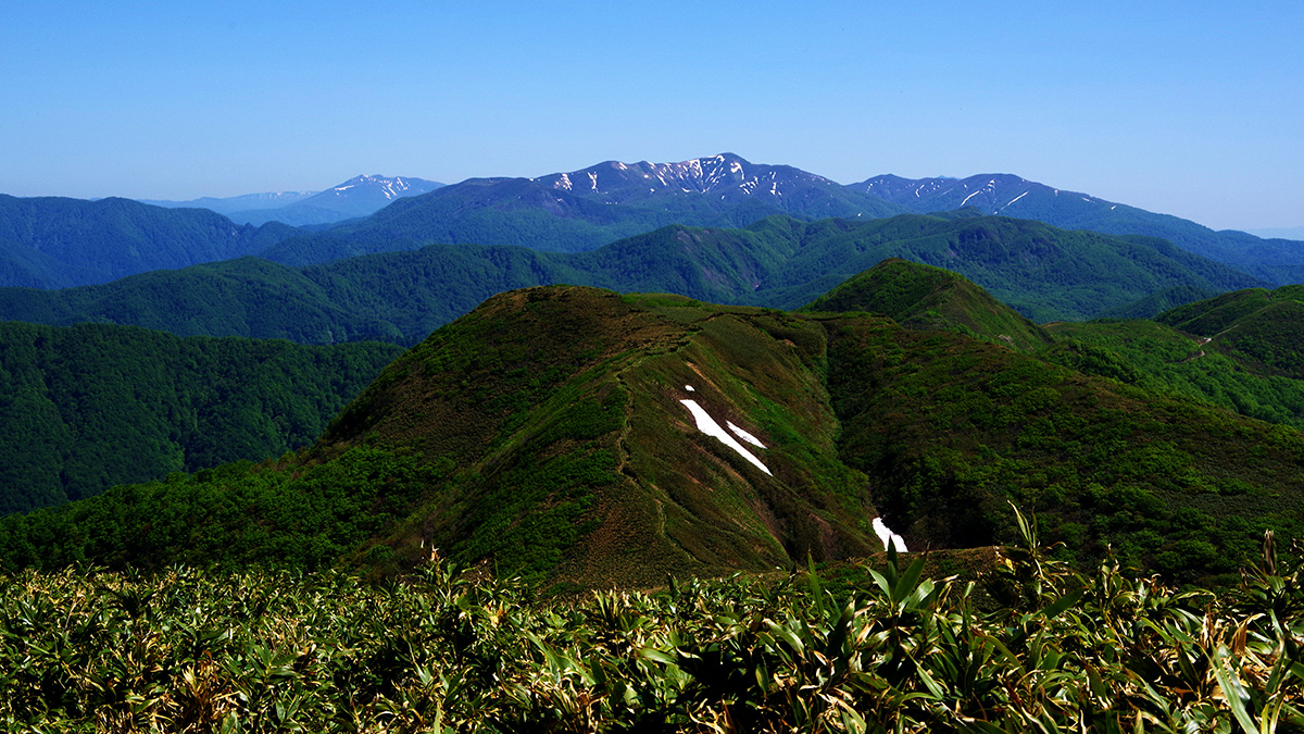 真昼岳から眺めた和賀岳
