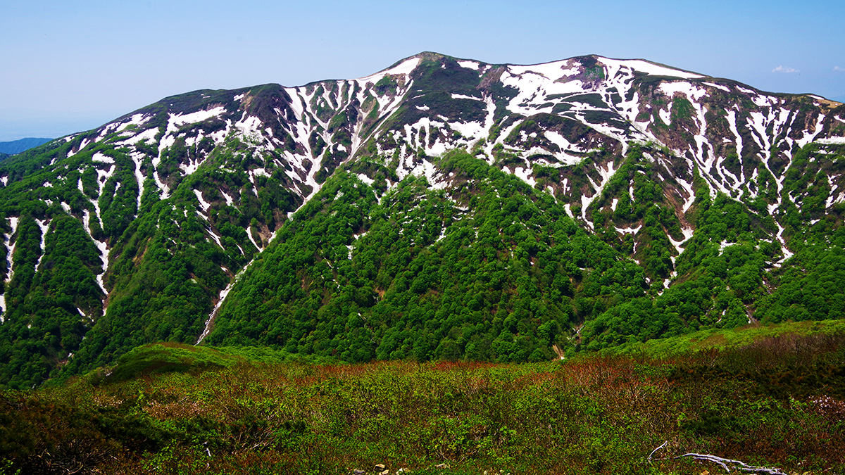 南峰岳から眺めた和賀岳