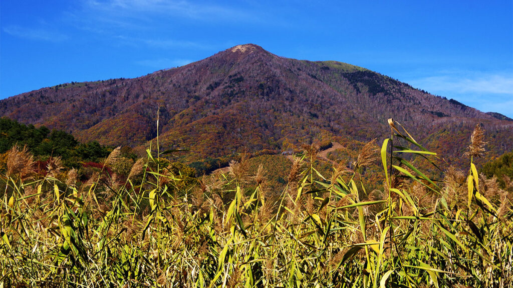 大谷地湿地から眺めた飯縄山