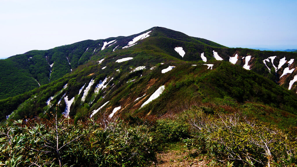 1260mピークから眺めた根菅岳