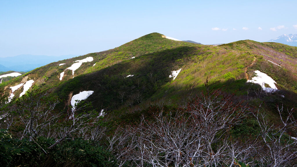 高下岳から眺めた根菅岳