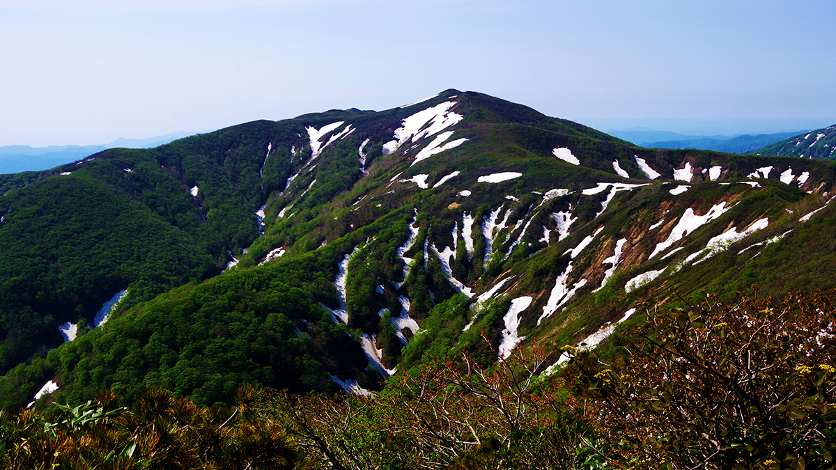 大荒沢岳から眺めた根菅岳