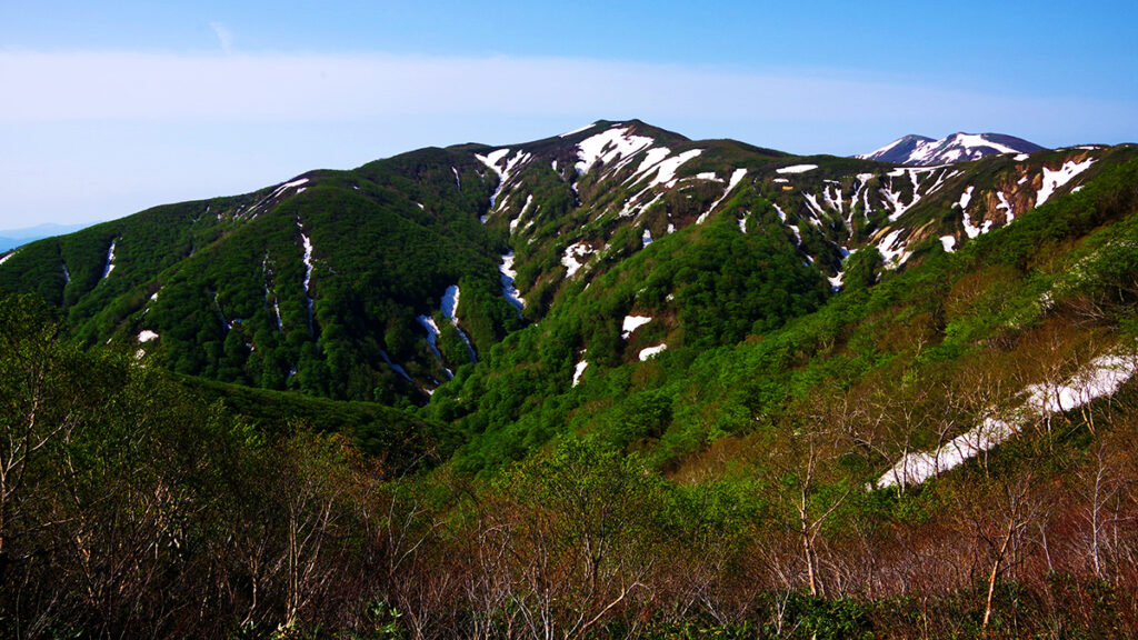 沢尻岳から眺めた根菅岳