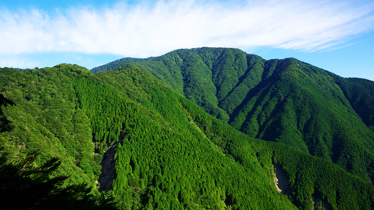 犬越路付近から眺めた大室山