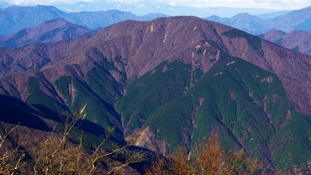 蛭ヶ岳から眺めた大室山