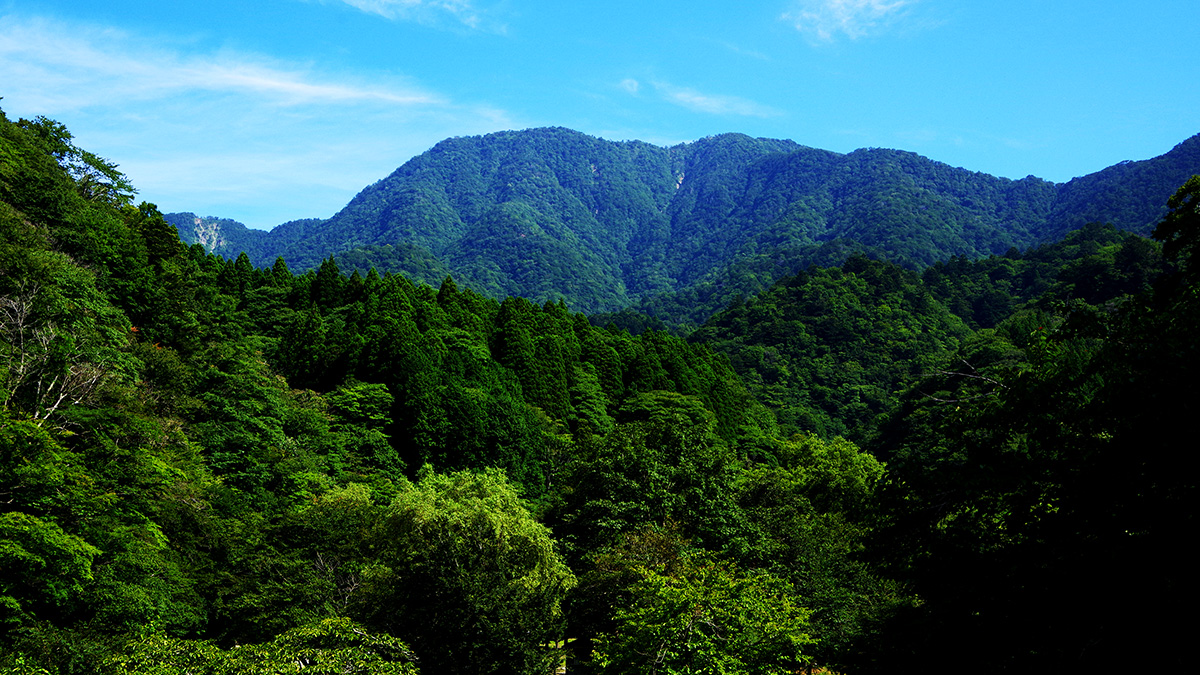 ツツジ新道入口から眺めた大室山