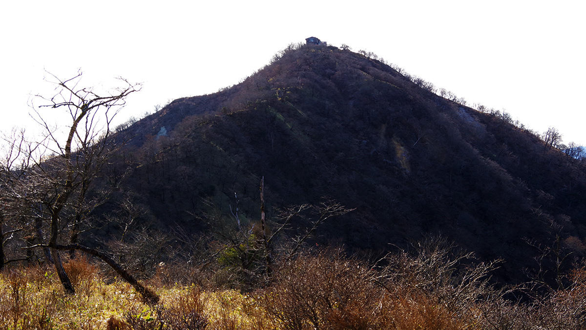 日高から眺めた塔ノ岳