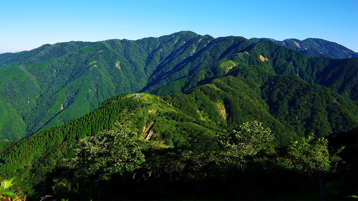 三ノ塔から眺めた塔ノ岳