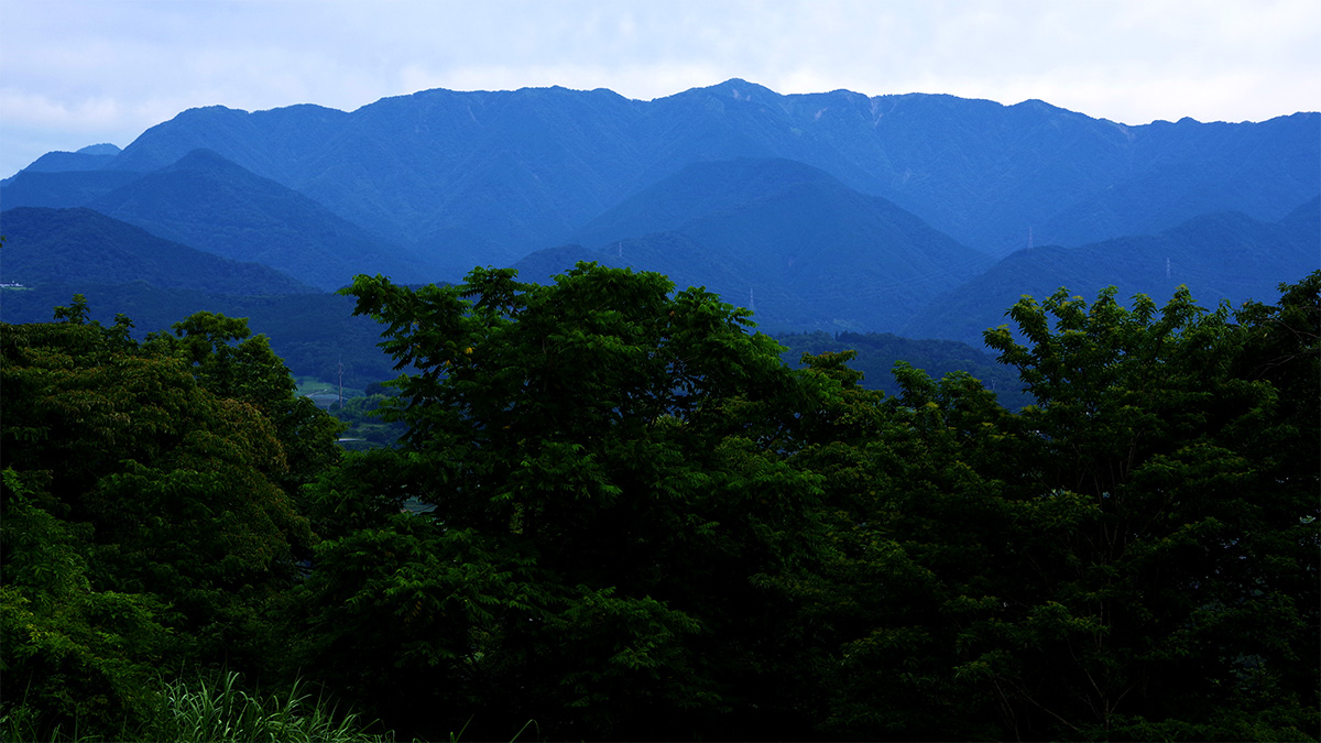 頭高山から眺めた塔ノ岳