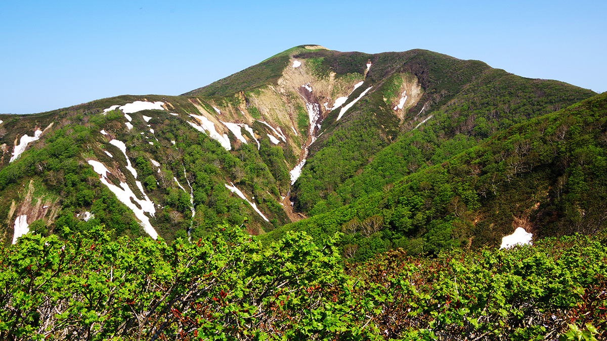 1260mピークから眺めた羽後朝日岳