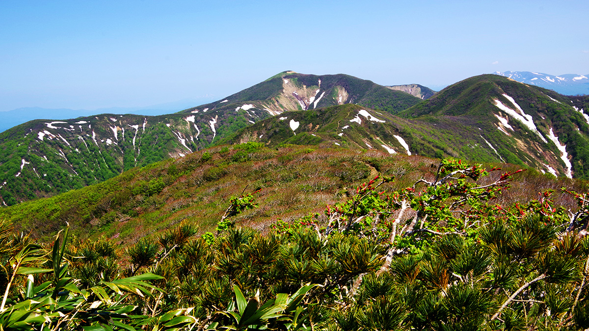 根菅岳から眺めた羽後朝日岳
