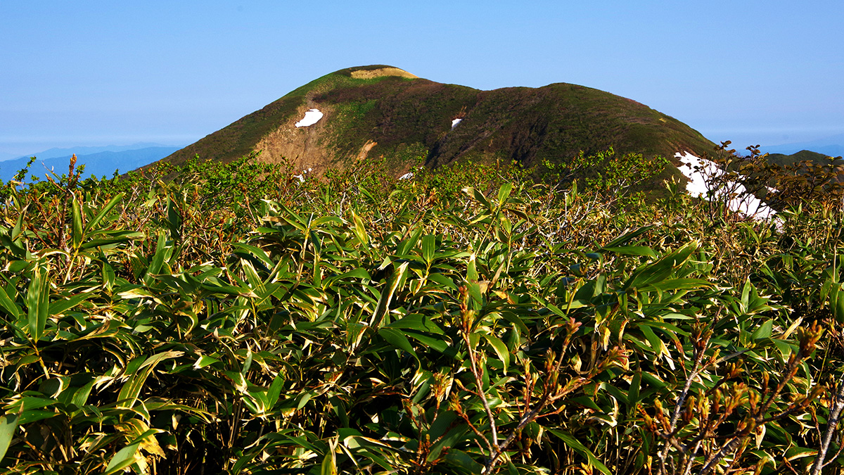大荒沢岳から眺めた羽後朝日岳