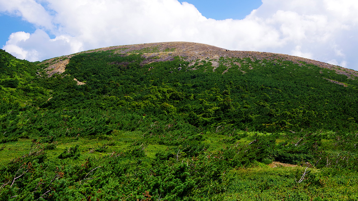 酸ヶ平から眺めた一切経山