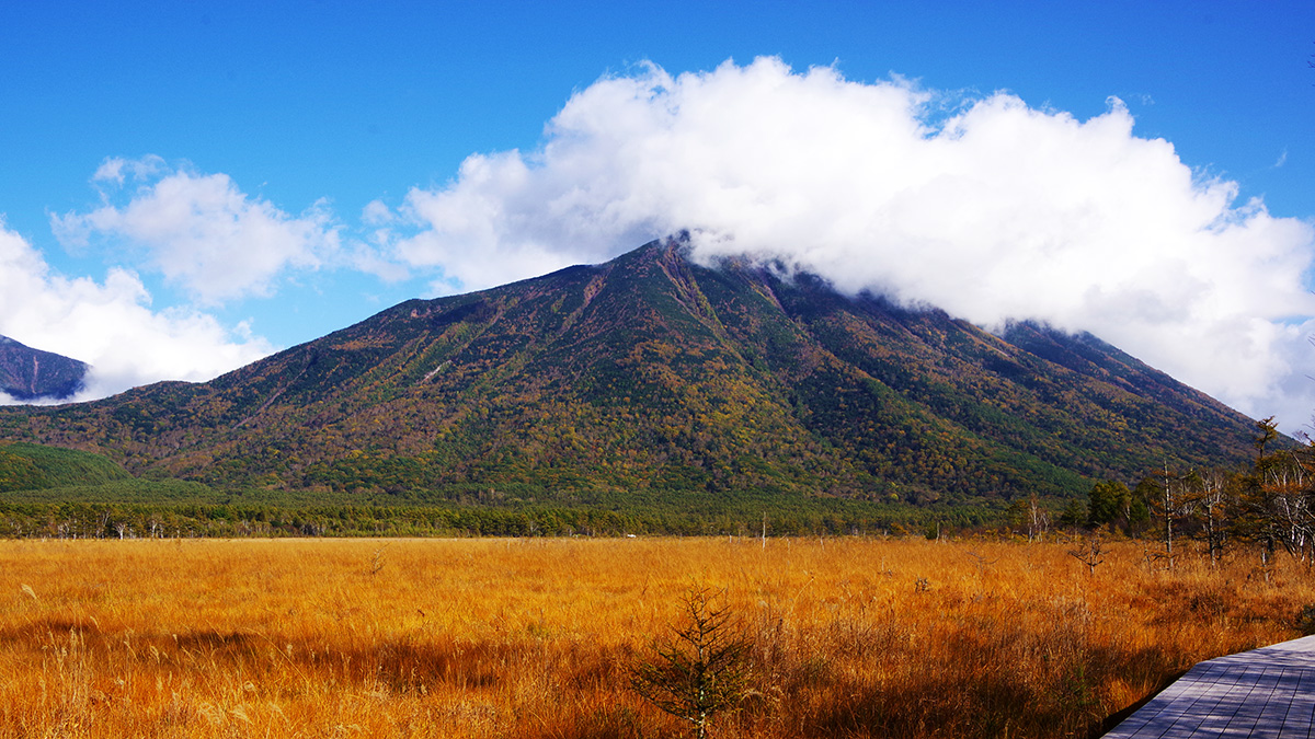 戦場ヶ原から眺めた男体山