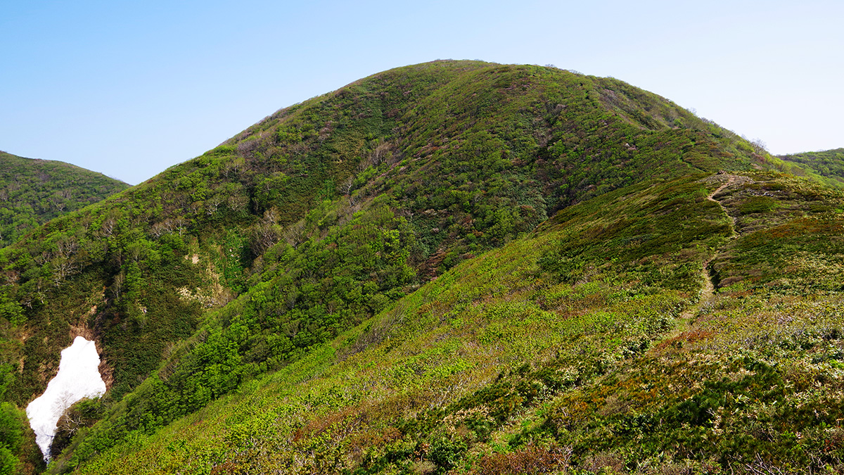 1260ｍピークから眺めた大荒沢岳