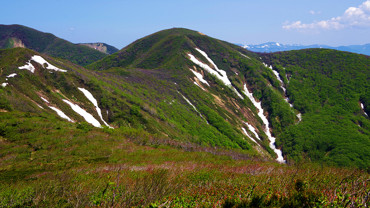 根菅岳から眺めた大荒沢岳