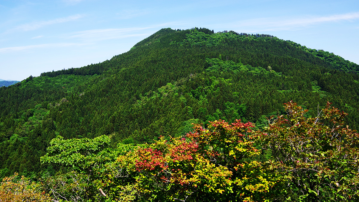 鍬柄岳から眺めた大桁山