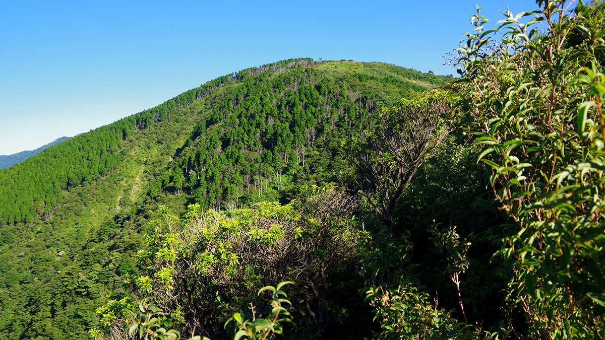二ノ塔付近から眺めた三ノ塔