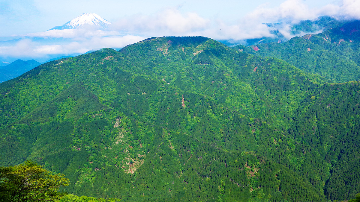 大山から眺めた三ノ塔