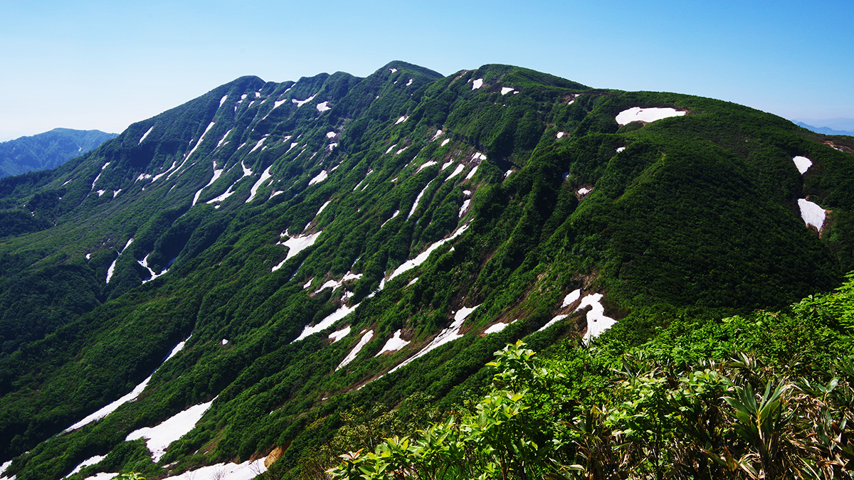 大岳から眺めた守門岳